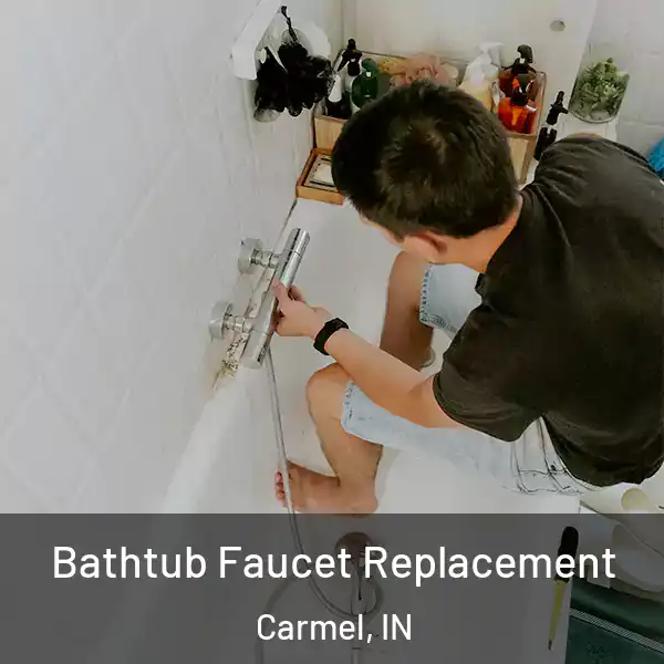  Bathtub Faucet Replacement Carmel, IN