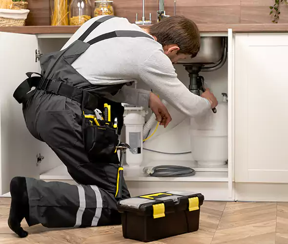 Certified Plumbers for Insinkerator Installation in Carmel