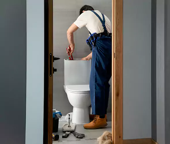 Professional Plumbers for Toilet Bowl Replacement in Carmel, IN: Schedule Affordable Toilet Replacement Services With Us