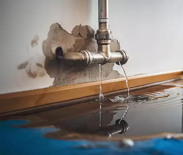 Professional Water Damage Restoration Experts in Carmel, IN — Fast, Reliable & Certified