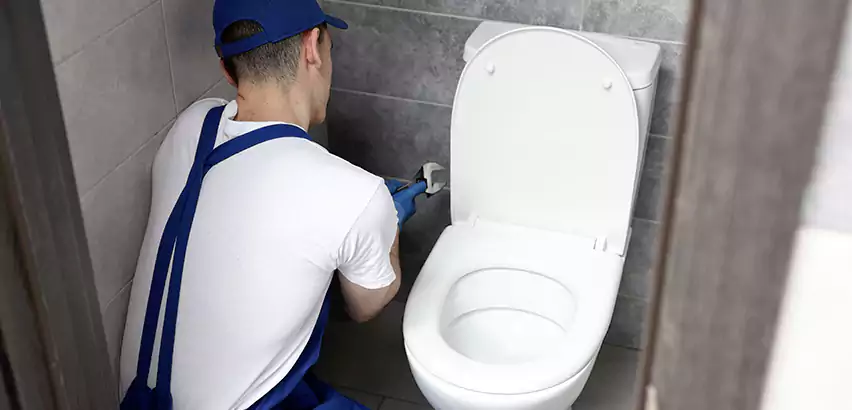 Toilet Lid Replacement in Carmel