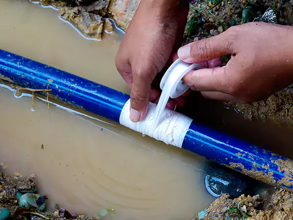  Why Choose The Carmel Plumbers for Leak Detection in Carmel, IN?]