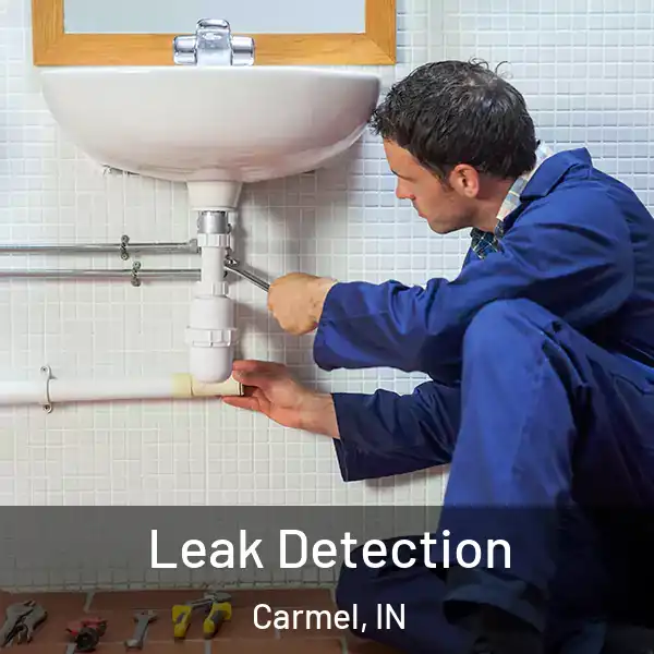  Leak Detection Carmel, IN