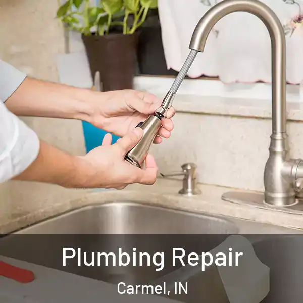  Plumbing Repair Carmel, IN