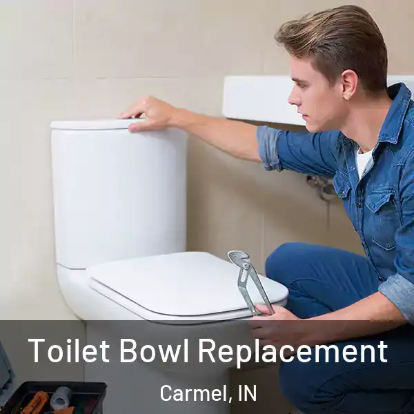  Toilet Bowl Replacement Carmel, IN