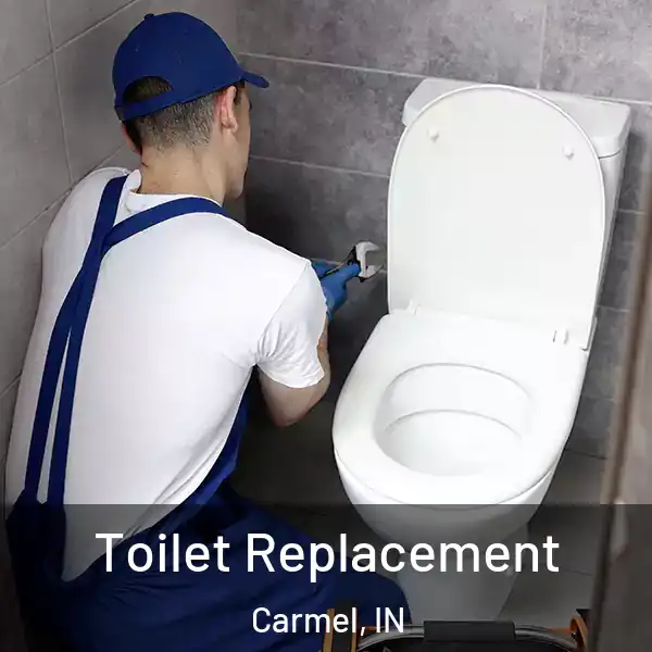  Toilet Replacement Carmel, IN