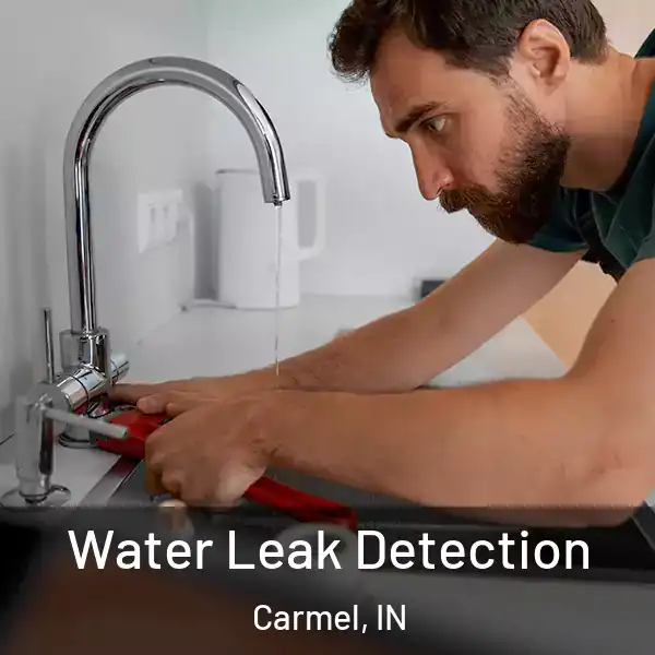  Water Leak Detection Carmel, IN